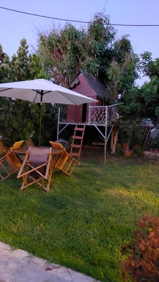 Diamant'S Place With Treehouse Garden Kounoupidhianá Екстериор снимка